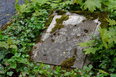 Bad Godesberg